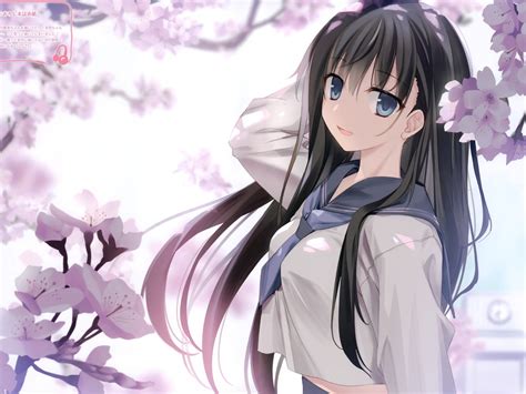 Download Anime Girl Cherry Blossom Black Hair School Uniform