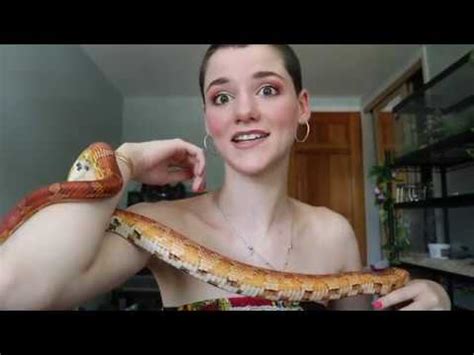 Feed baby snakes about once every five to seven days (once a week is fine). CORN SNAKES GET HOW BIG?!?! - YouTube