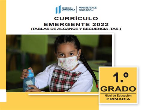 Currículo Emergente 2022 Mineduc Primaria Y Básico Formato Pdf Mi