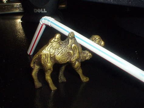 You've just had the bad luck to be one that was the straw that broke the camel's back. the straw that broke the camel's back | Monica | Flickr
