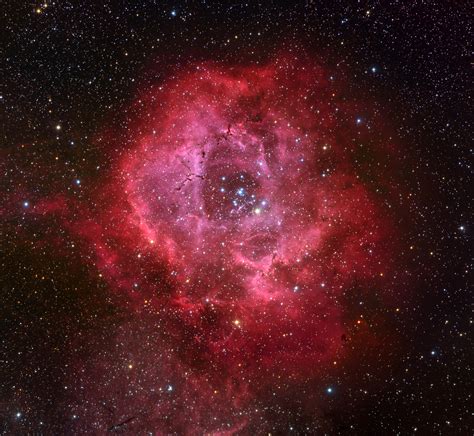 The Rosette Nebula
