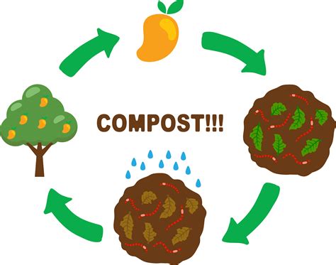 Compost Vector At Collection Of Compost Vector Free