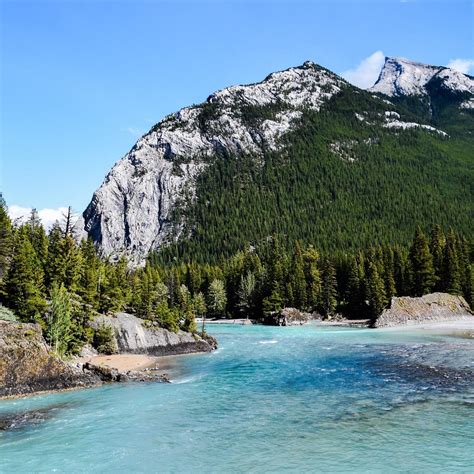 Bow Falls Banff Lo Que Se Debe Saber Antes De Viajar Tripadvisor