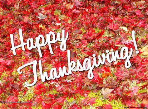 Happy Thanks Giving Wallpaper | Best Wallpapers