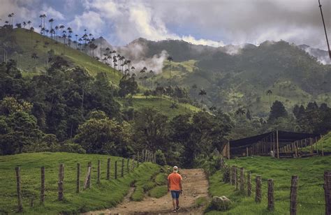 Cocora Valley Salento A Mysterious Spot In Colombia Trip Ways
