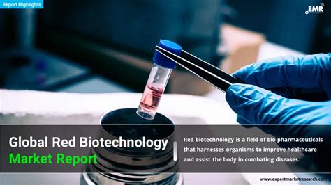 Red Biotechnology Market Size Share Analysis 2024 2032