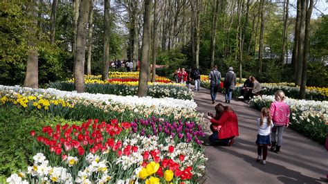 Pruning is an ideal method to keep your garden healthy and beautiful as it ensures the enhanced quality of your spring flowers, shrubs, as well as fruits. Keukenhof; the most beautiful spring garden in the world ...