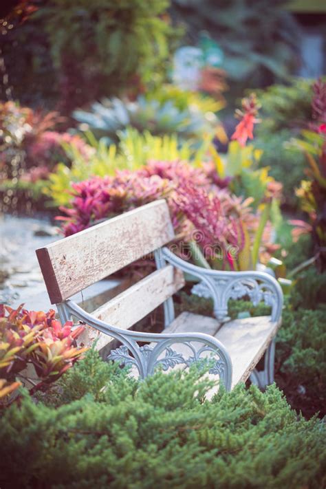 Vintage Bench In Flowers Garden Stock Photo Image Of Botanical Green