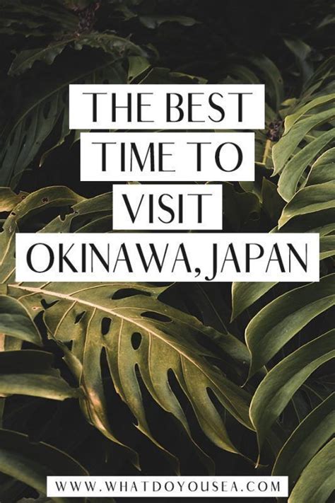 The Best Time To Visit Okinawa Asia Travel Japan Travel