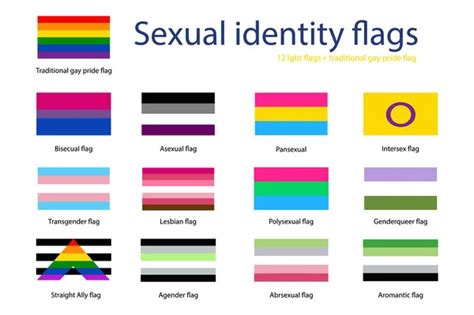 Lgbtq Pride Flags Lgbt Community Sexual Identity Stock Vector Image By ©soniaeps 528464816