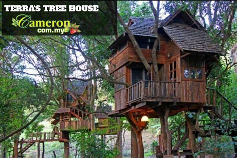 Plan your wonderful trip without leaving your home and pay later with planet of hotel. Terra's Tree House | Cameron Highlands Online