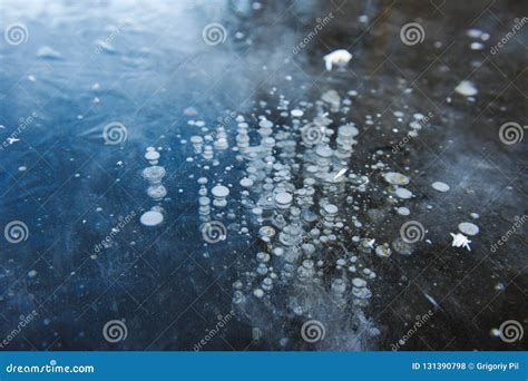 Frozen Air Bubbles Stock Photo Image Of Nature Clean 131390798