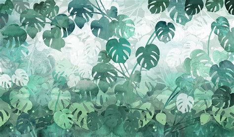 Top 999 Monstera Wallpaper Full Hd 4k Free To Use