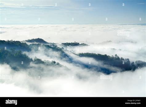 White Clouds Of Mist Hovering Low Between Green Mountain Trees In The
