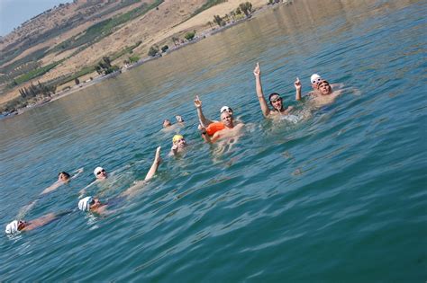 There are several styles of swimming, known as strokes, including: The "Long cross swim of the sea of Galilee" 21k swim ...