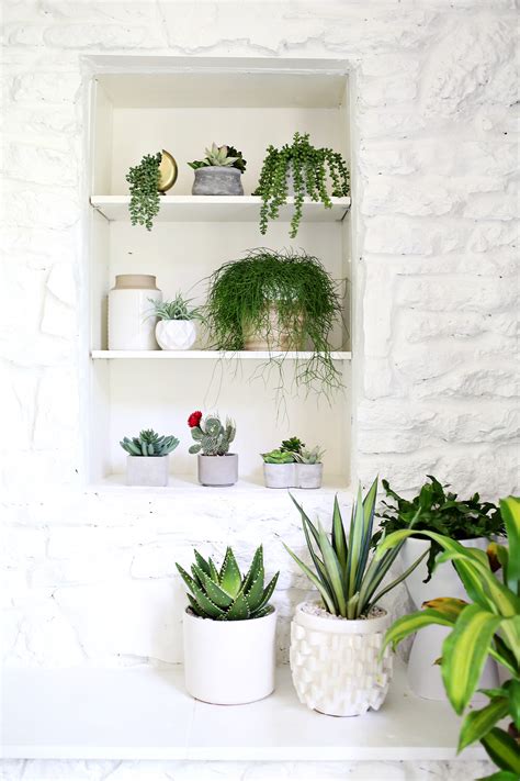 Are You Faux Real How To Find The Most Convincing Faux Plants A