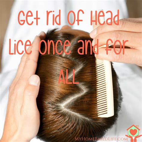 Finally How To Get Rid Of Head Lice Once And For All