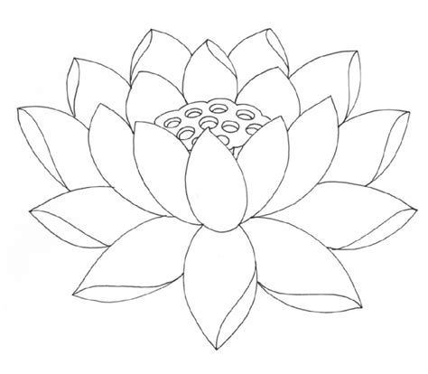 Lotus Flower Coloring Page For Adults | K5 Worksheets