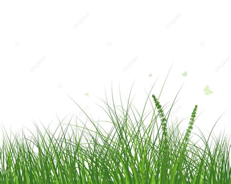 Meadow Grass Vector Png Images Green Spring Meadow Grass Herbs