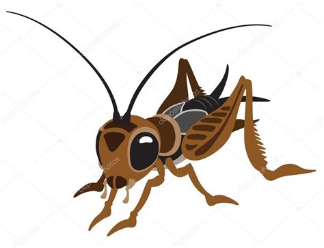 Para guardar el dibujo en tu disco duro, pincha con el botón izquierdo. Grillo del dibujo animado — Archivo Imágenes Vectoriales ...