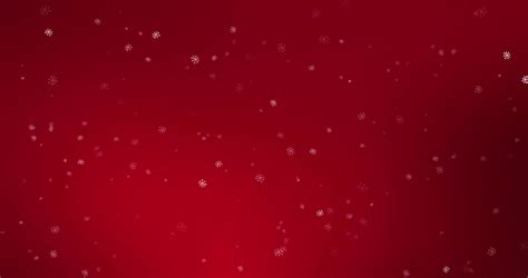 Christmas Snowflakes Falling Down Snow Stock Footage Video 100