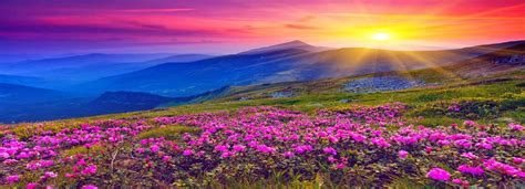 Conejo valley guide is a participant in the following affiliate programs: valley-of-flowers.jpg