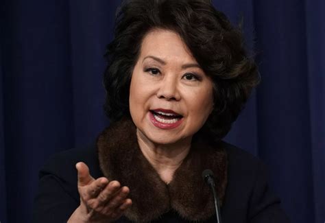 Daughter of james (owner of a shipping firm) and ruth chao; Elaine Chao, mitch mcconnell wife - bio, age, children, net worth