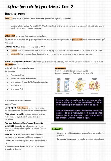 Solution Apuntes De Bioqu Mica Amino Cidos Studypool