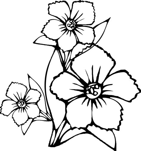 Beautiful Flower Coloring Pages Colorful Drawings Flower Coloring