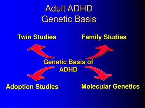 Ppt Adhd Overview Powerpoint Presentation Free Download Id3941987