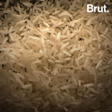 The basmati rice case in late 1997, an american company ricetec inc, was granted a patent by the us patent office to call the aromatic rice grown outside india 'basmati'. Pressure Builds In Indo-Pak Tussle Over... Basmati | Brut.