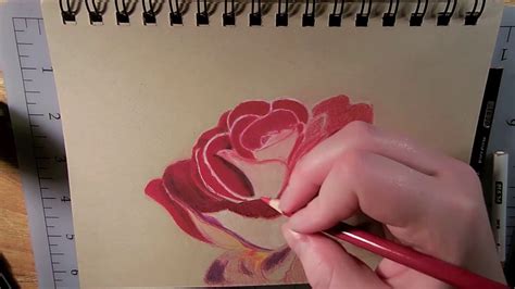 Drawing A Rose With Prismacolor Colored Pencils YouTube