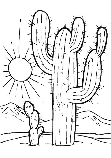 Cactus At Desert Sunset Coloring Pages Best Place To Color