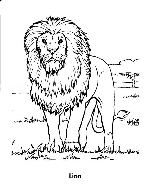 Lion Coloring Pages | coloring, book coloring, animals, lions | church