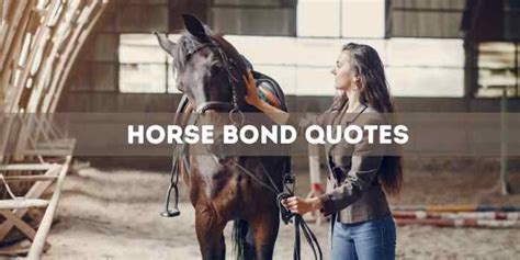 7 Horse Bond Quotes For Inspiration Equine Desire