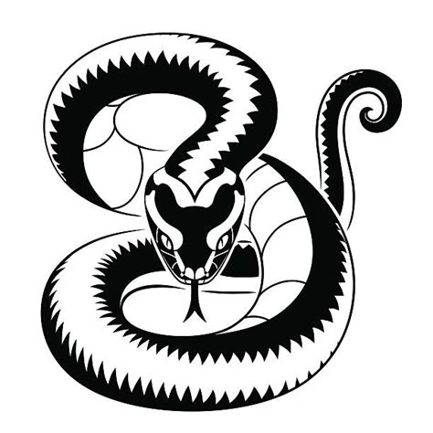Beautiful black, white & red center pieces used a beetlejuice wedding we performed. Best Viper Snake Illustrations, Royalty-Free Vector ...