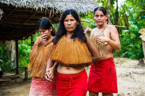 How Many Uncontacted Tribes Are Left In The World? - WorldAtlas