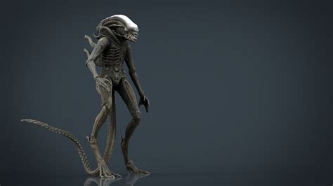 Alien Xenomorph 3d Cgtrader