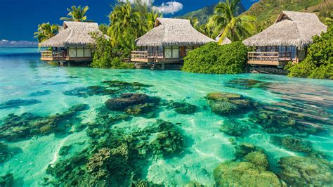 French Polynesia Wallpapers Top Free French Polynesia Backgrounds