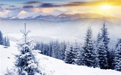 Winter Mountain Scenes Wallpaper Wallpapersafari