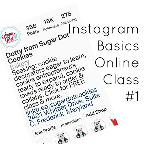 Online Class How To Use Instagram The Basics