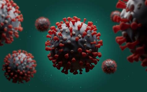 Follow here for the latest. Coronavirus UPDATE: Today's US Recap | Wellness Pursuits