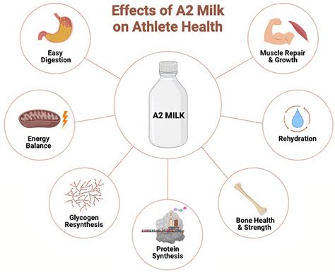 Frontiers Benefits Of A2 Milk For Sports Nutrition Health And