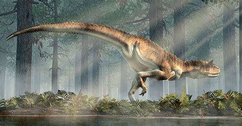 Dinosaurios Carnívoros ¿cuánto Sabes Sobre Ellos