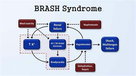 Brash Syndrome Bradycardia Renal Failure Av Block Shock