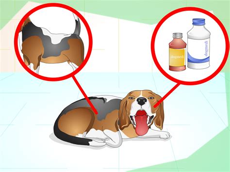 To breathe quickly, spasmodically, or in a labored manner b : How to Treat a Panting Dog: 8 Steps (with Pictures) - wikiHow