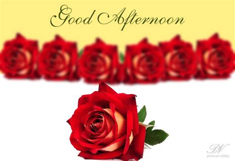 Say Good Afternoon With Red Roses Wishes Images Good Afternoon E