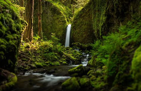 Oregon Waterfall Forest River Mood Wallpapers Hd Desktop And