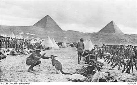 Lines Of The Australian 9th And 10th Battalions At Mena Camp Looking