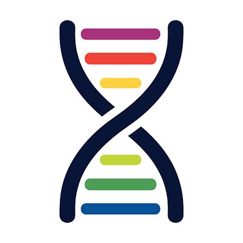 Dna Clip Art Vector Images And Illustrations Istock